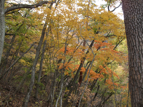 20181126hike (46)